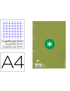 Recambio a4 antartik 80 hojas 90g/m2 cuadro 5mm 4 taladros 1 banda con marco color verde