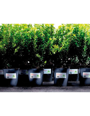 Etiqueta adhesiva resistente avery poliester blanco laser 45,7x21,2 mm caja de 960 unidades