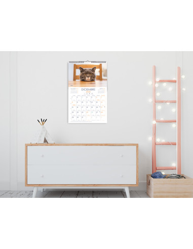 Calendario espiral pared liderpapel imagenes gatos 2025 para escribir 25x40 cm papel 157 gr