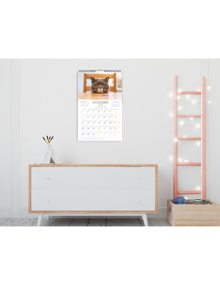 Calendario espiral pared liderpapel imagenes gatos 2025 para escribir 25x40 cm papel 157 gr