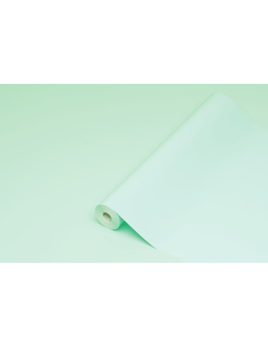 Rollo adhesivo d-c-fix verde menta ancho 45 cm largo 15 mt
