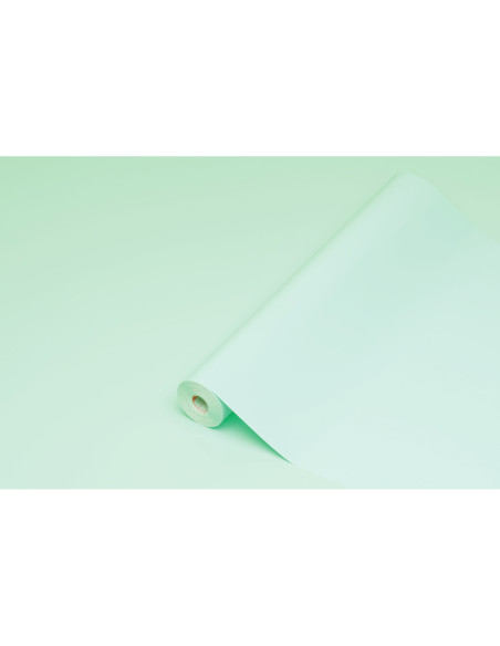 Rollo adhesivo d-c-fix verde menta ancho 45 cm largo 15 mt