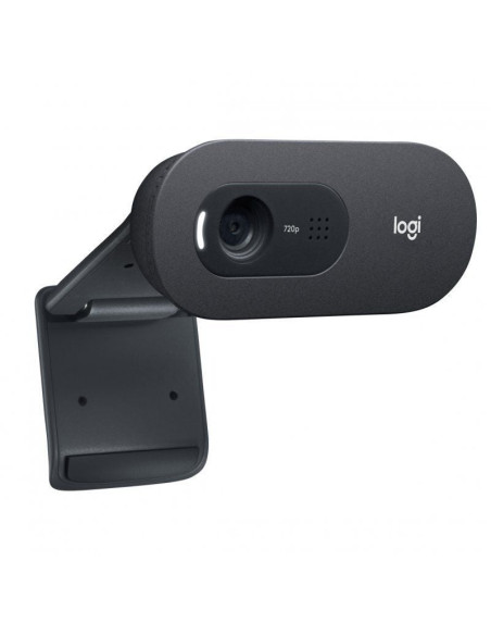 Webcam Logitech C505E/ 1280 x 720 HD
