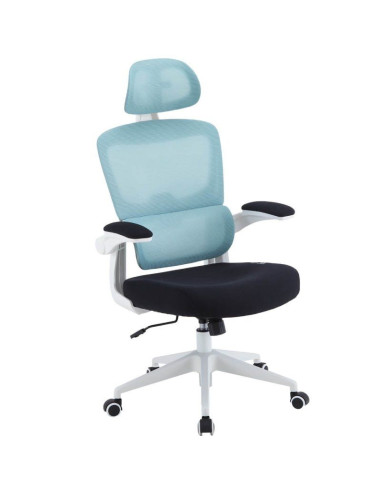 Silla Gaming Woxter Ergo/ Azul