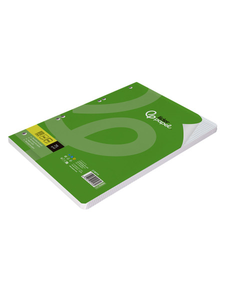 Recambio liderpapel din a4 100 hojas 75 gr cuadro 4 mm con margen 16 taladros