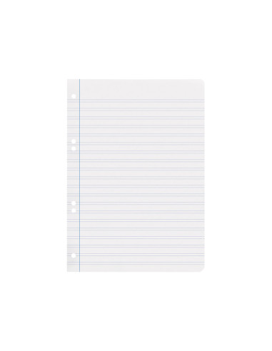 Recambio liderpapel din a5 100 hojas 75 gr pauta 5 2.5mm con margen 6 taladros