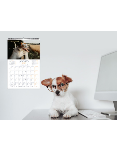 Calendario espiral pared liderpapel imagenes gatos 2026 para escribir 25x40 cm papel 157 gr
