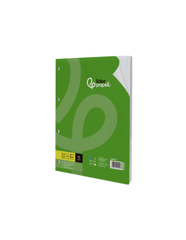 Recambio liderpapel din a4 100 hojas 75 gr cuadro 3 mm con margen 4 taladros