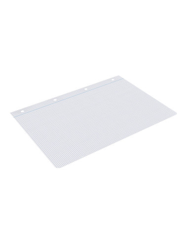 Recambio liderpapel din a4 100 hojas 75 gr cuadro 3 mm con margen 4 taladros