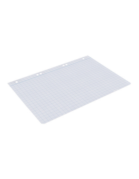 Recambio liderpapel din a5 100 hojas 75 gr milimetrado sin margen 6 taladros