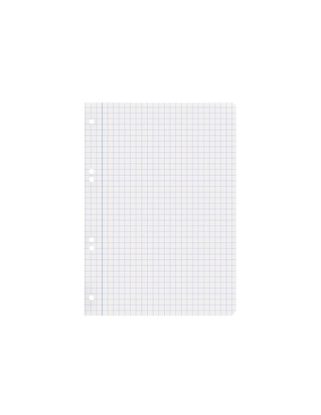 Recambio liderpapel din a5 100 hojas 75 gr cuadro 8mm con margen 6 taladros