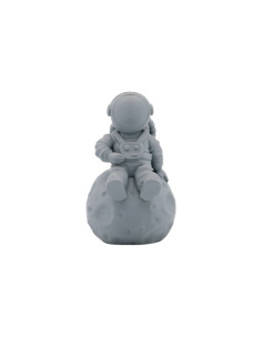 Filamento 3D PETG - Diametro 1.75mm - Bobina 1kg - Color Gris 2