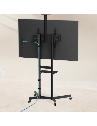 Soporte de Suelo Inclinable con Ruedas TooQ NEFERTITI FS1151M-B para TV de 37-70"/ hasta 70kg
