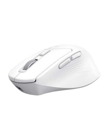 Trust Niven Raton Inalambrico de 7 Botones - Ajustable hasta 3200dpi - Bluetooth - Recargable - Indicadores LED - Clic Silencios