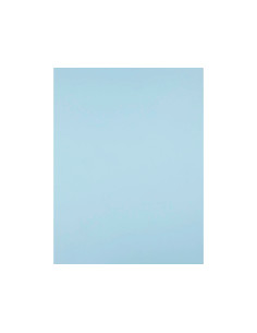 Cartulina liderpapel 50x65 cm 180g/m2 azul 2