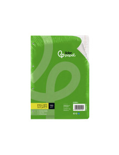 Recambio liderpapel a5 100 h 100g/m2 cuadro 5mm con margen 6 taladros 2