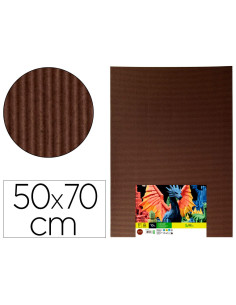 Carton ondulado liderpapel 50 x 70cm 320g/m2 marron