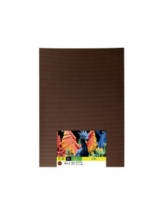 Carton ondulado liderpapel 50 x 70cm 320g/m2 marron 2