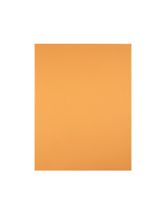 Cartulina liderpapel 50x65 cm 240 g/m2 avellana 2