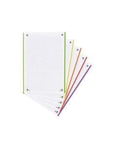 Recambio oxford din a4 200+50 hojas gratis cuadro 5 mm 4 taladros con banda 5 colores vivos 2