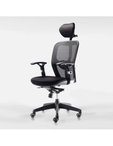 SILLA OPERATIVA BOSTON