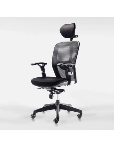 SILLA OPERATIVA BOSTON