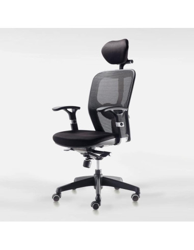 SILLA OPERATIVA BOSTON