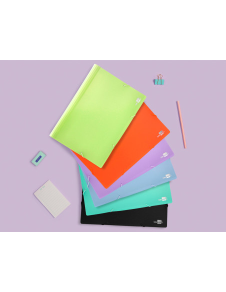 Carpeta liderpapel clasificador fuelle polipropileno din a4 celeste opaco 13 departamentos