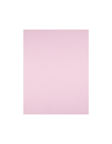 Cartulina liderpapel 50x65 cm 180g/m2 rosa