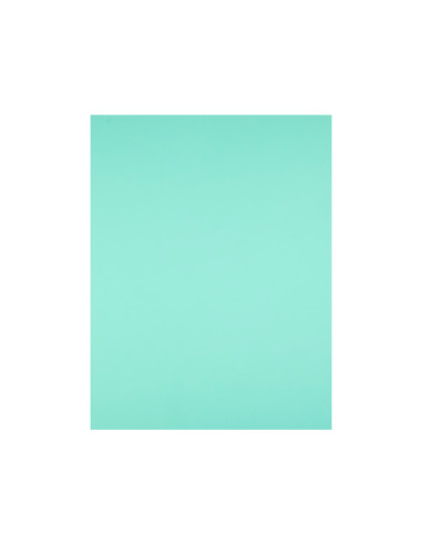 Cartulina liderpapel 50x65 cm 180g/m2 verde
