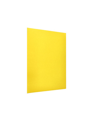 Subcarpeta liderpapel din a4 amarillo intenso 180g/m2