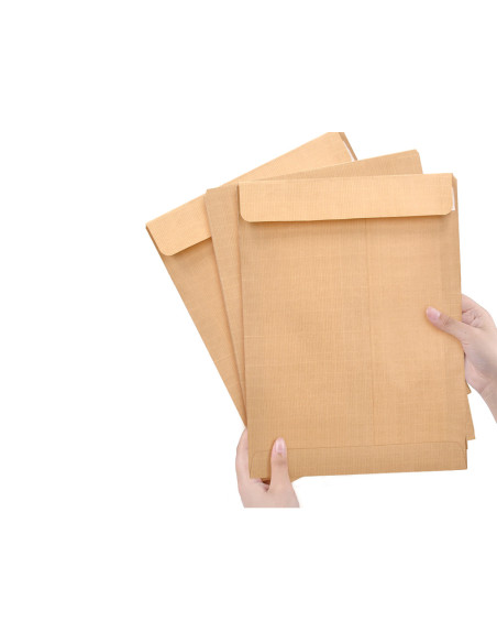 Sobre liderpapel bolsa n.12 kraft folio especial 260x360mm tira de silicona caja de 250 unidades