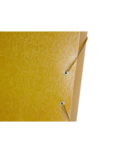 Carpeta proyectos liderpapel folio lomo 30mm carton gofrado amarilla