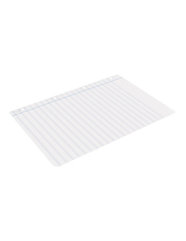 Recambio liderpapel a4 100 hojas 100g/m2 pauta 5ª 2.5mm con margen 4 taladros