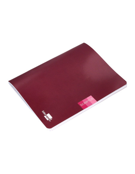 Libreta liderpapel scriptus a5 plus 48 hoj.90g/m2 cuadro 4mm con margen