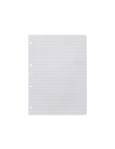 Recambio liderpapel a4 pautaguia 100 hojas 75 g cuadriculado pautado 3 mm con margen 4 taladros