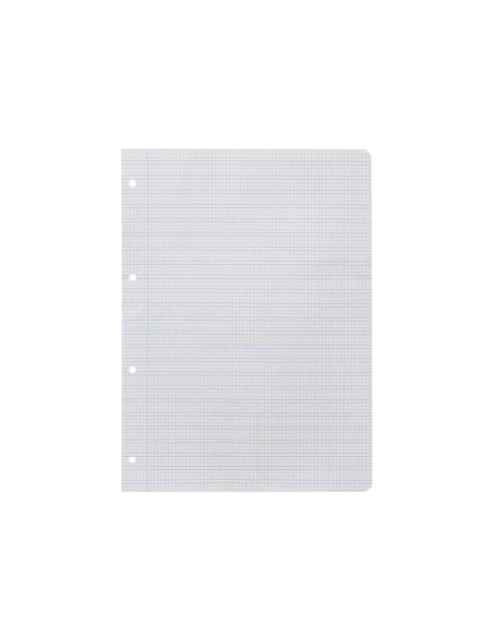 Recambio liderpapel a4 pautaguia 100 hojas 75 g cuadriculado pautado 3 mm con margen 4 taladros