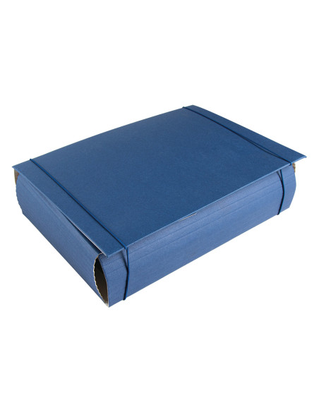 Carpeta proyectos liderpapel extensible gofrada folio