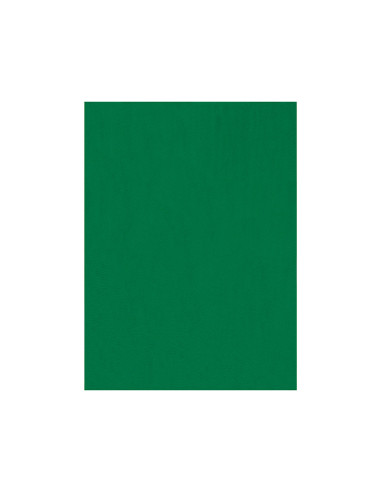 Fieltro liderpapel 50x70cm verde 160g/m2