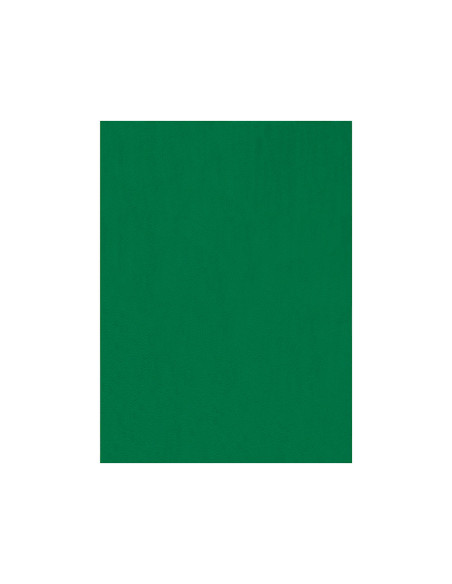 Fieltro liderpapel 50x70cm verde 160g/m2