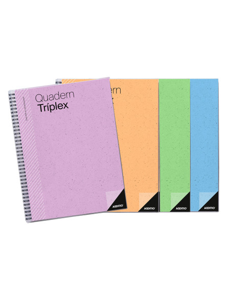 Bloc triplex additio plan curso evaluacion continua plansemanal tutorias mas 6 fundas ransparentes 22,5x31cm catalan