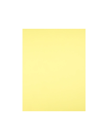 Cartulina liderpapel 50x65 cm 240 g/m2 amarillo medio