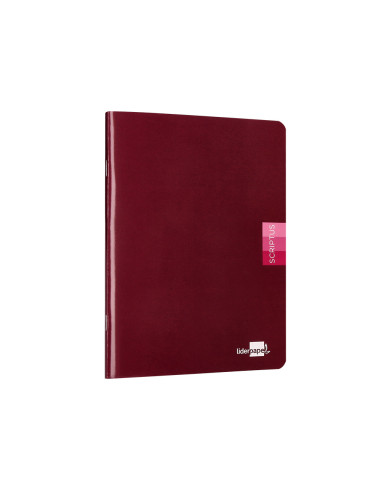 Libreta liderpapel scriptus a5 plus 48 hojas 90g/m2 rayado montessori 5mm con margen colores surtidos